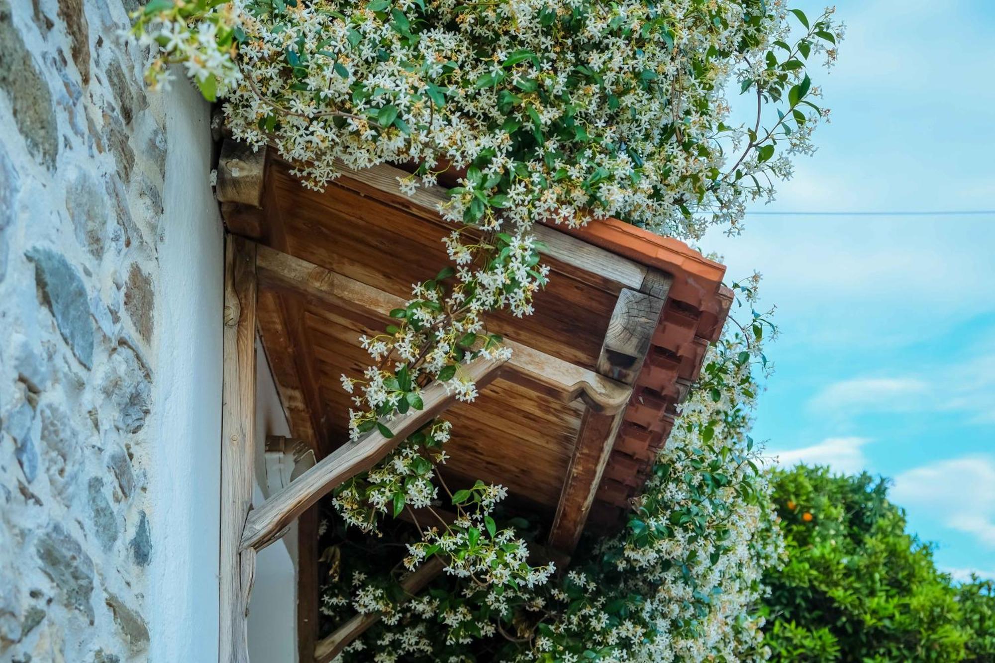 Cozy House In Pelion Apartment Kato Lekhonia Exterior photo